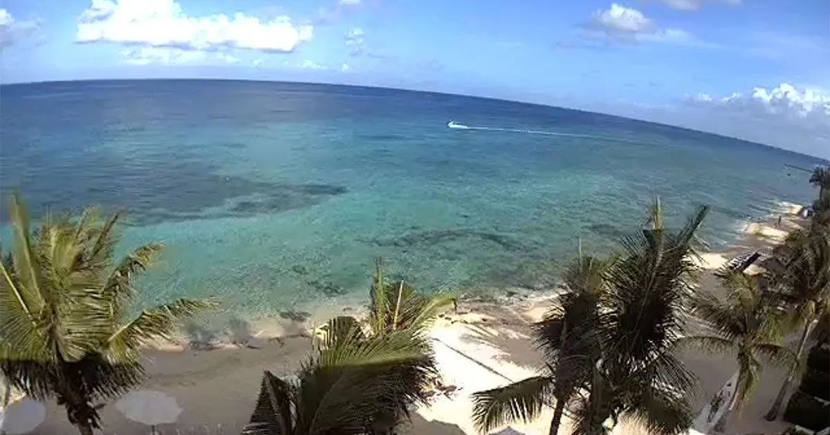 Vista de la playa en Secrets Aura
