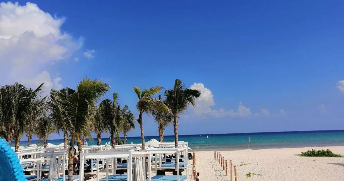 Foto del reporte en Sandos Playacar