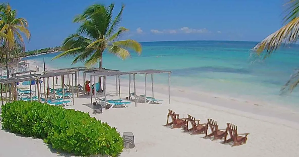 Foto del reporte en Akumal Bay