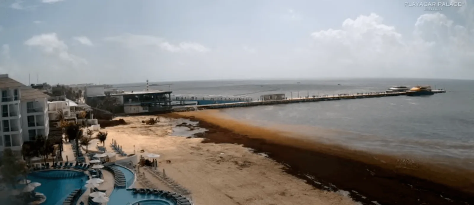 Foto del reporte en Playacar Palace
