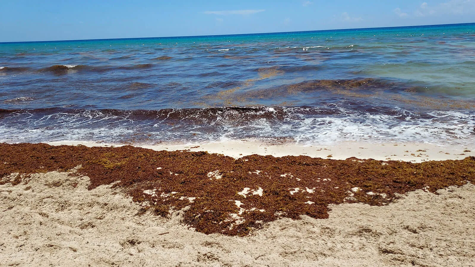 Foto del reporte en Marriot Cancun Resort
