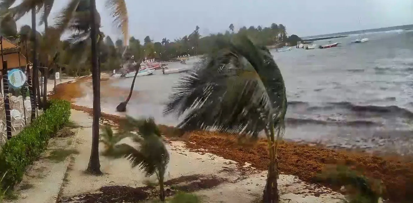 Foto della segnalazione a Akumal Bay