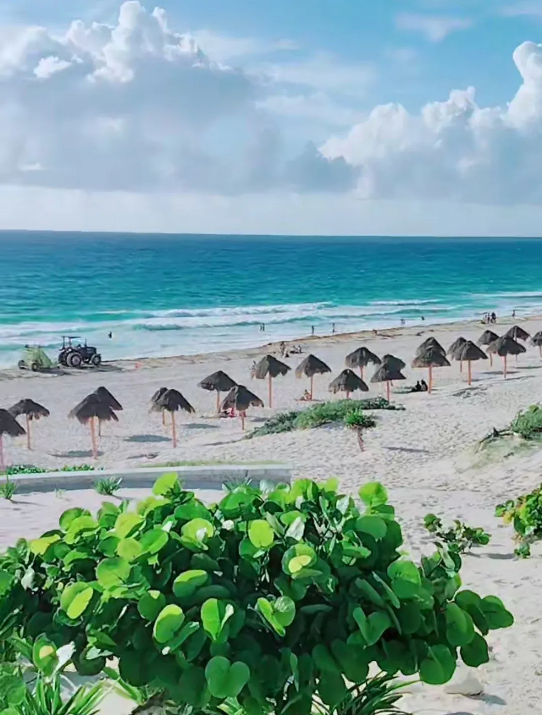 Foto del reporte en Playa Delfines