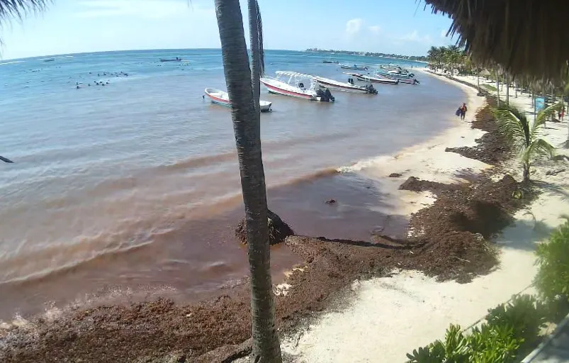 Report photo at Akumal Bay